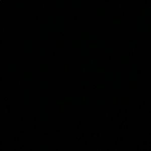 Meet your Posher, Jazmine